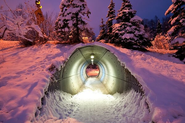 Entrada a una casa secreta bajo tierra en el bosque de invierno