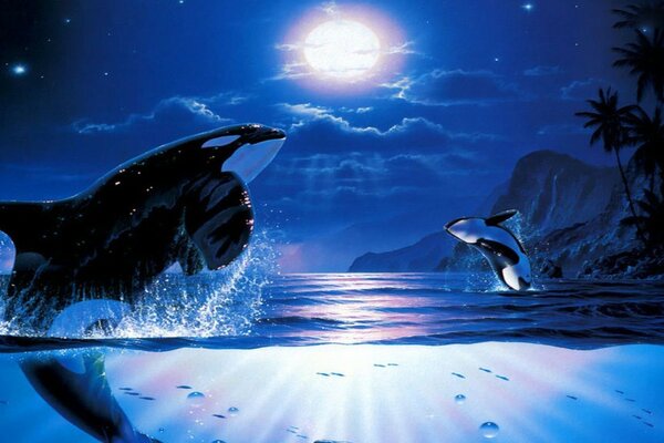 الحيتان القاتلة تتناثر في ضوء القمر