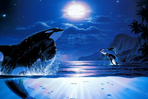 Killer whales splash in the moonlight