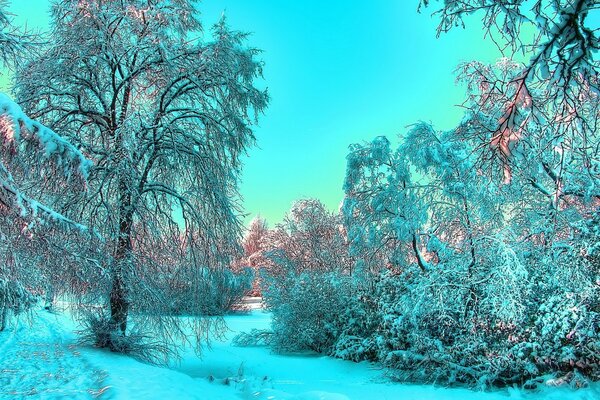 Die Natur ist im Winter schön, umgeben von Wäldern