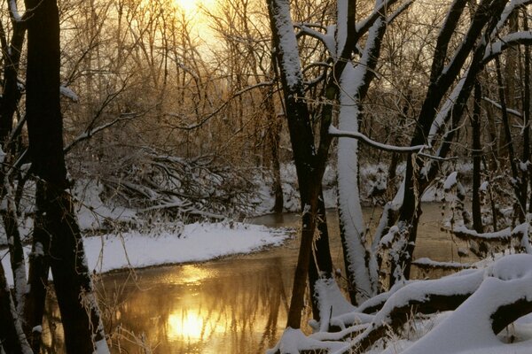 Naturaleza invernal-ríos y arroyos