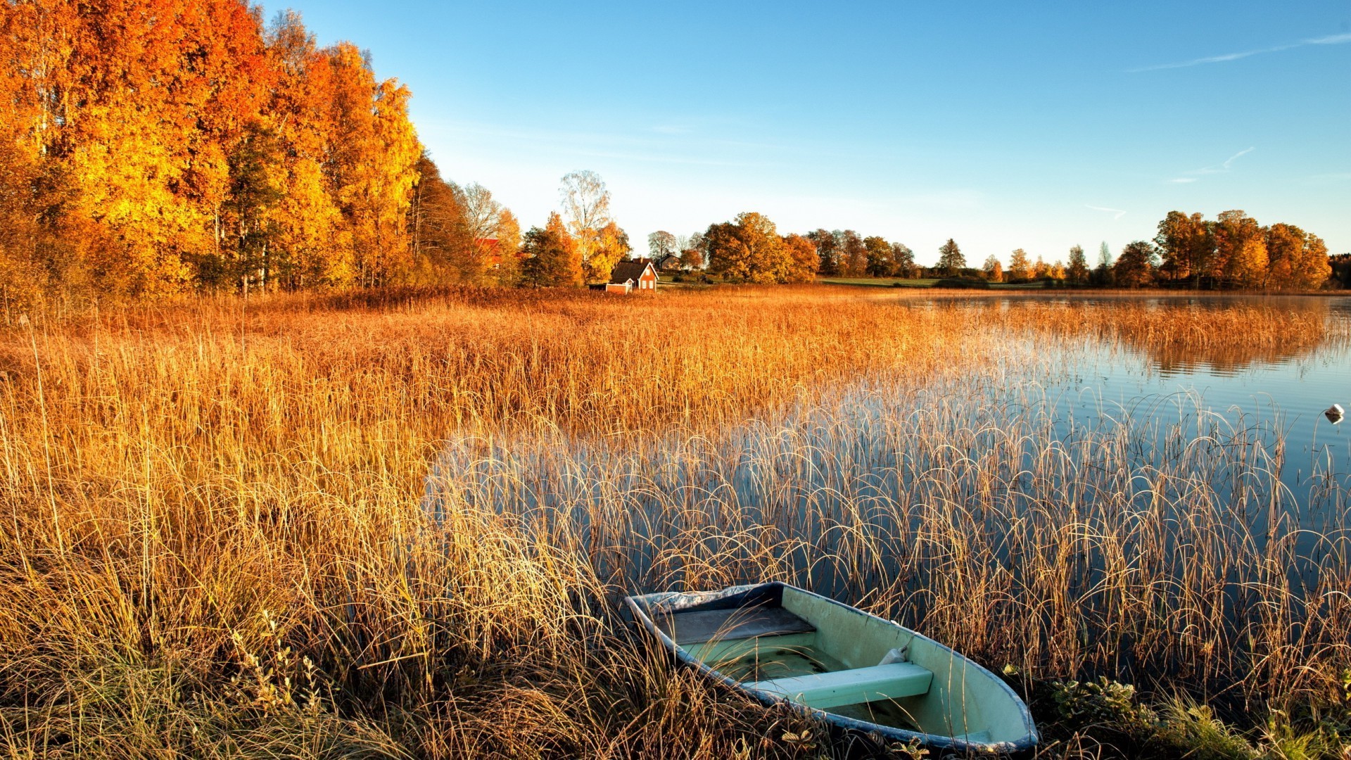 see natur herbst im freien landschaft wasser holz holz reflexion himmel fluss landschaftlich reisen blatt