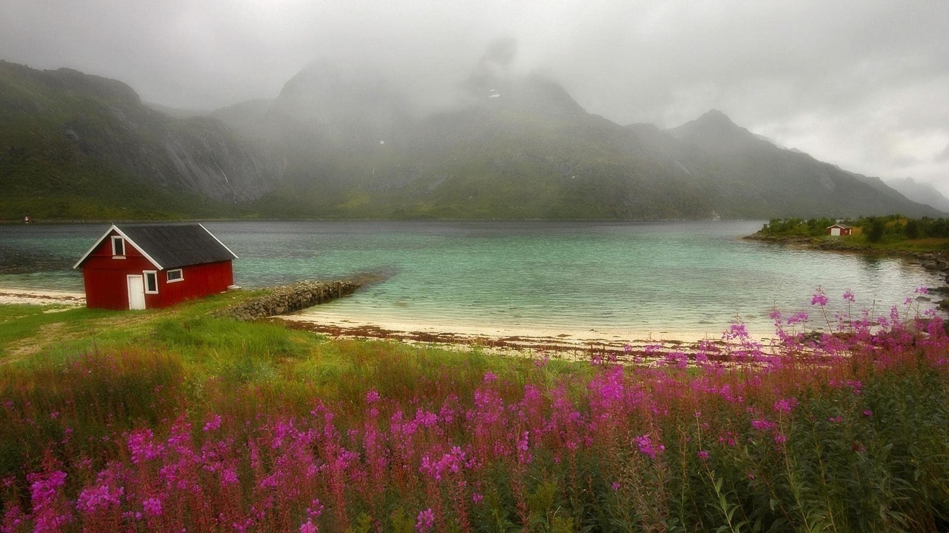 lake water nature landscape travel outdoors fog dawn summer sunset sky mist flower grass