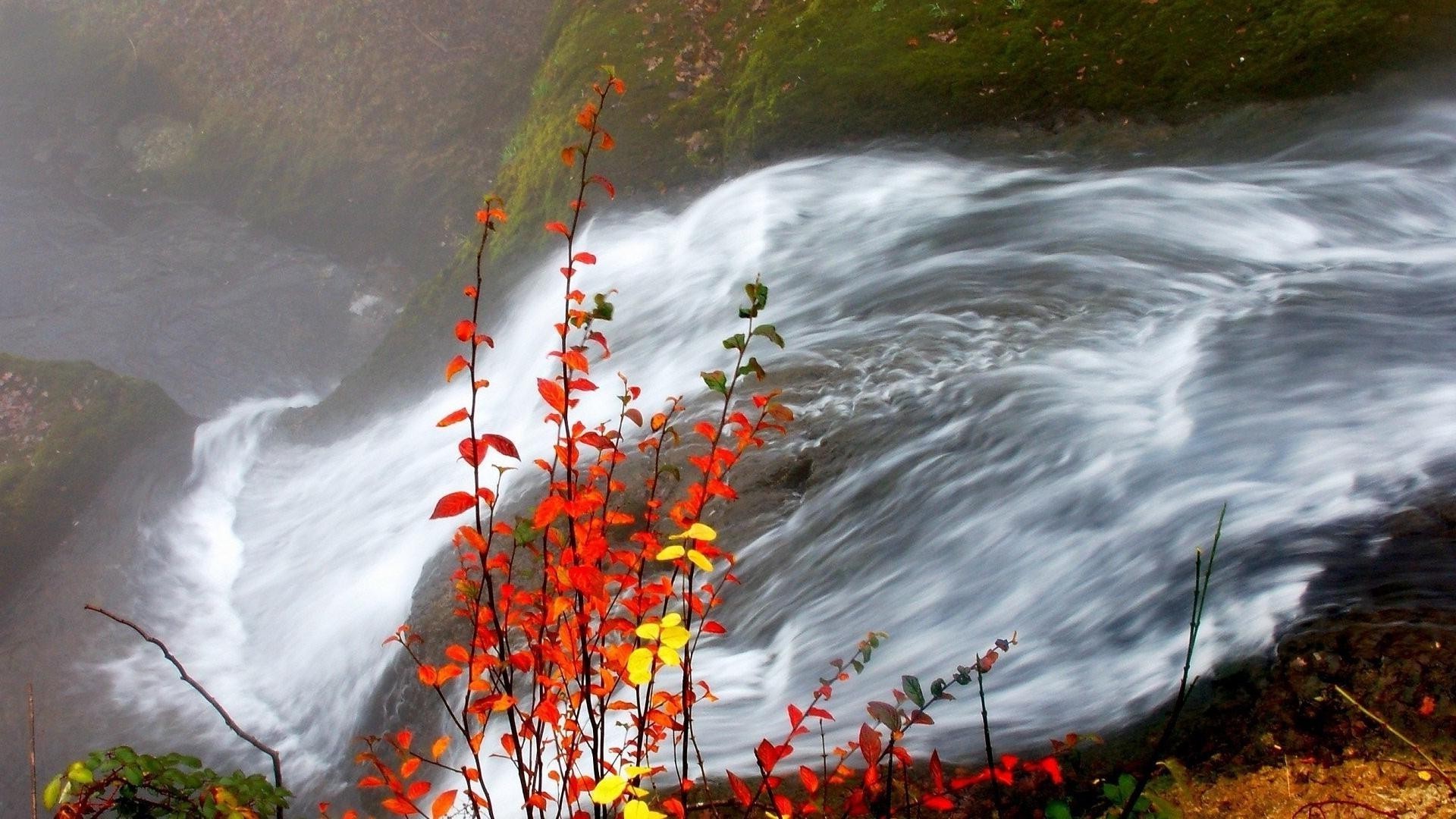 cascate acqua natura autunno fiume all aperto paesaggio cascata flusso foglia viaggi albero splash