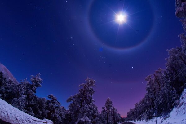 The moon in the evening twilight. Snow