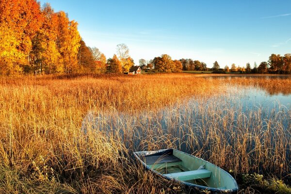 Paisaje de la naturaleza en otoño al aire libre