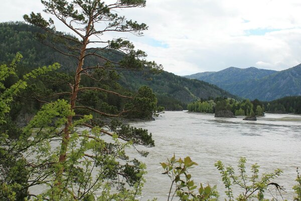 Paysage de printemps. Montagnes et eau