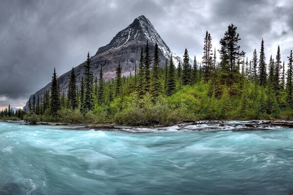 Landscape mountain river forest and mountain