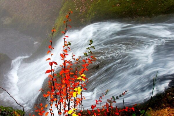 Flussfluss am Wasserfall im Herbst