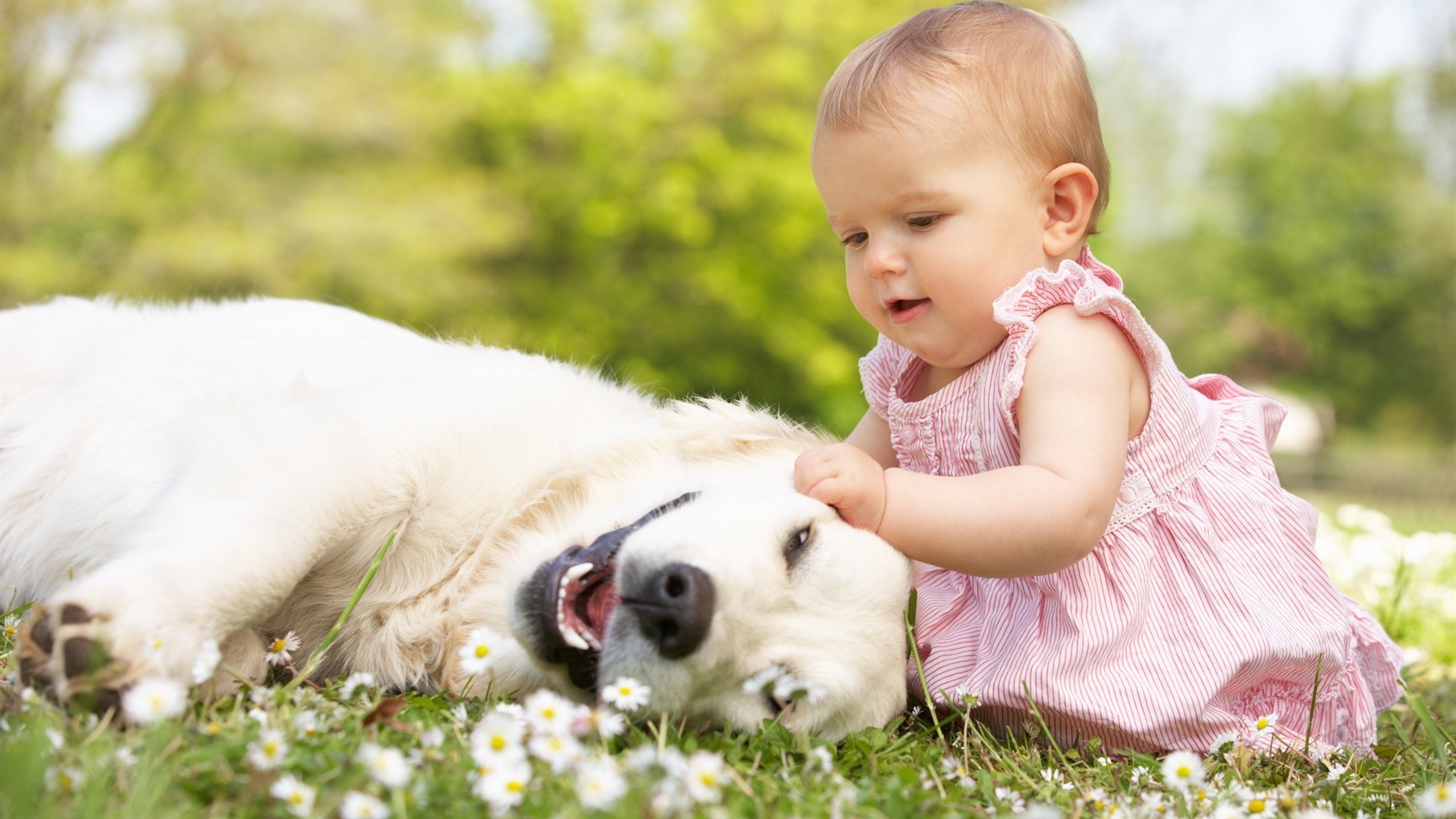 enfants avec animaux mignon peu herbe nature enfant enfant été à l extérieur parc amusement amour