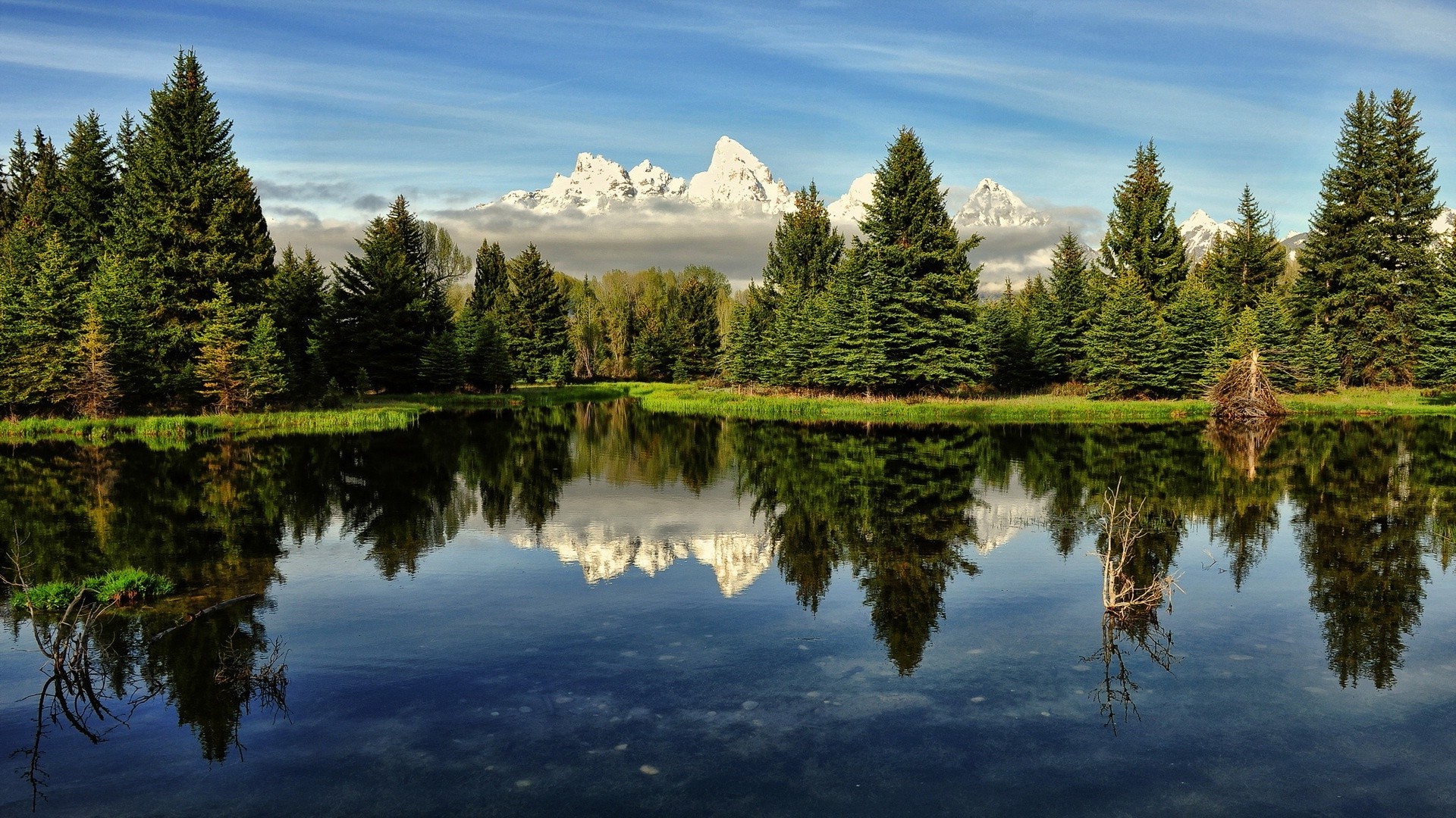 see reflexion wasser natur baum schwimmbad im freien landschaft himmel sommer morgendämmerung fluss