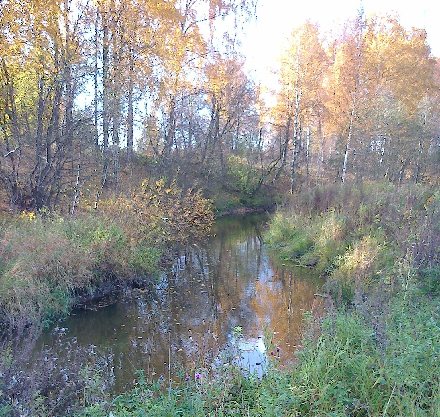 rivers ponds and streams nature landscape wood fall water tree river outdoors leaf park environment scenic reflection stream season fair weather travel lake wild