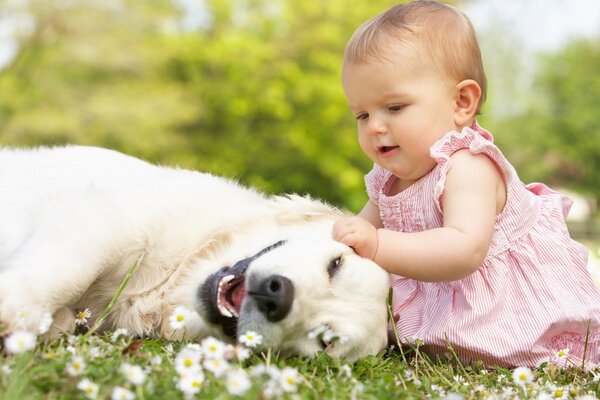 Kinder, die mit Tieren auf dem Rasen spielen