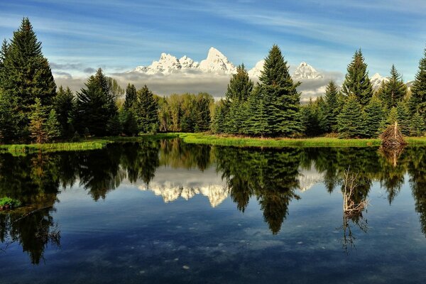 Forest reflected in the lake against the background of mountains