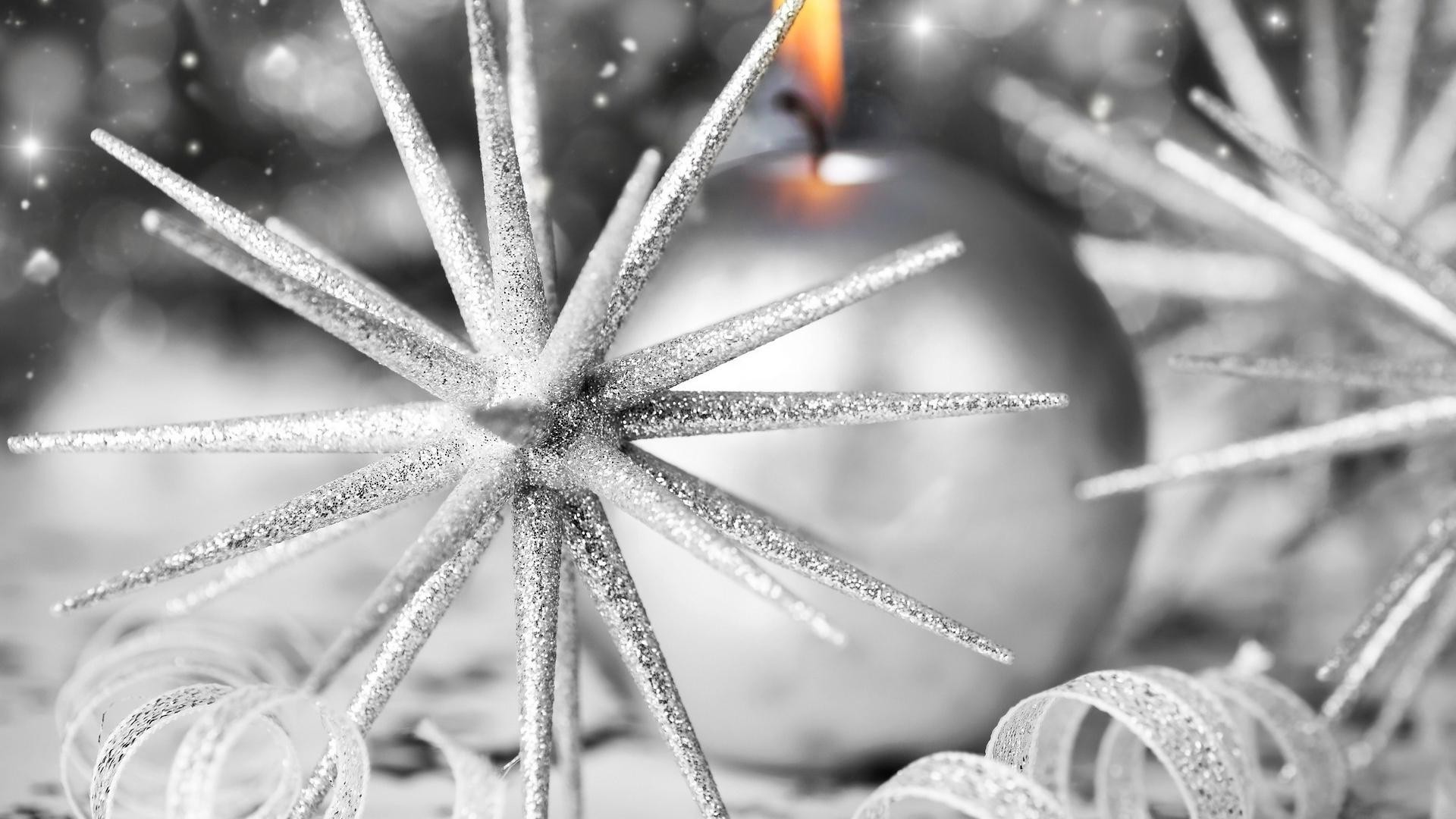 año nuevo navidad invierno monocromo naturaleza tradicional vacaciones