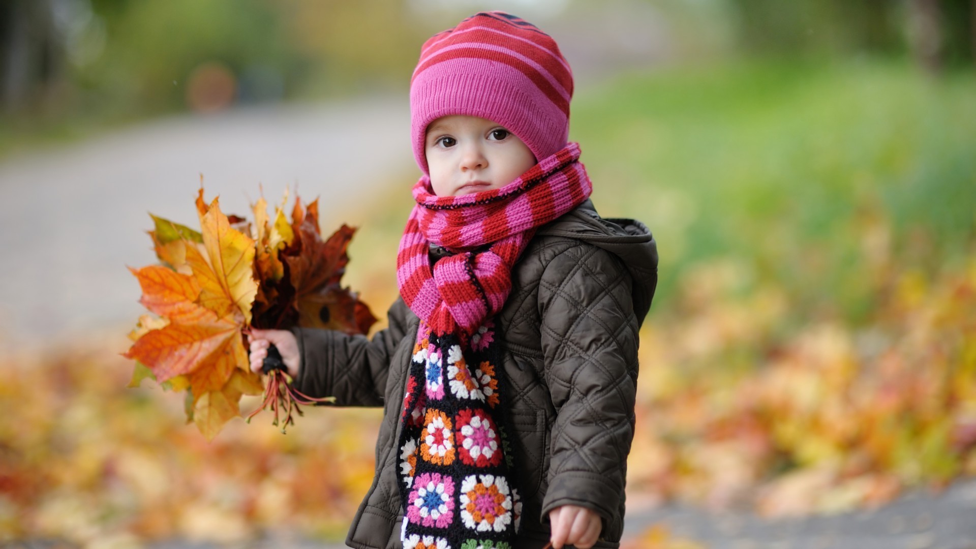 children in nature fall child outdoors nature park little cute fun maple baby leisure joy scarf