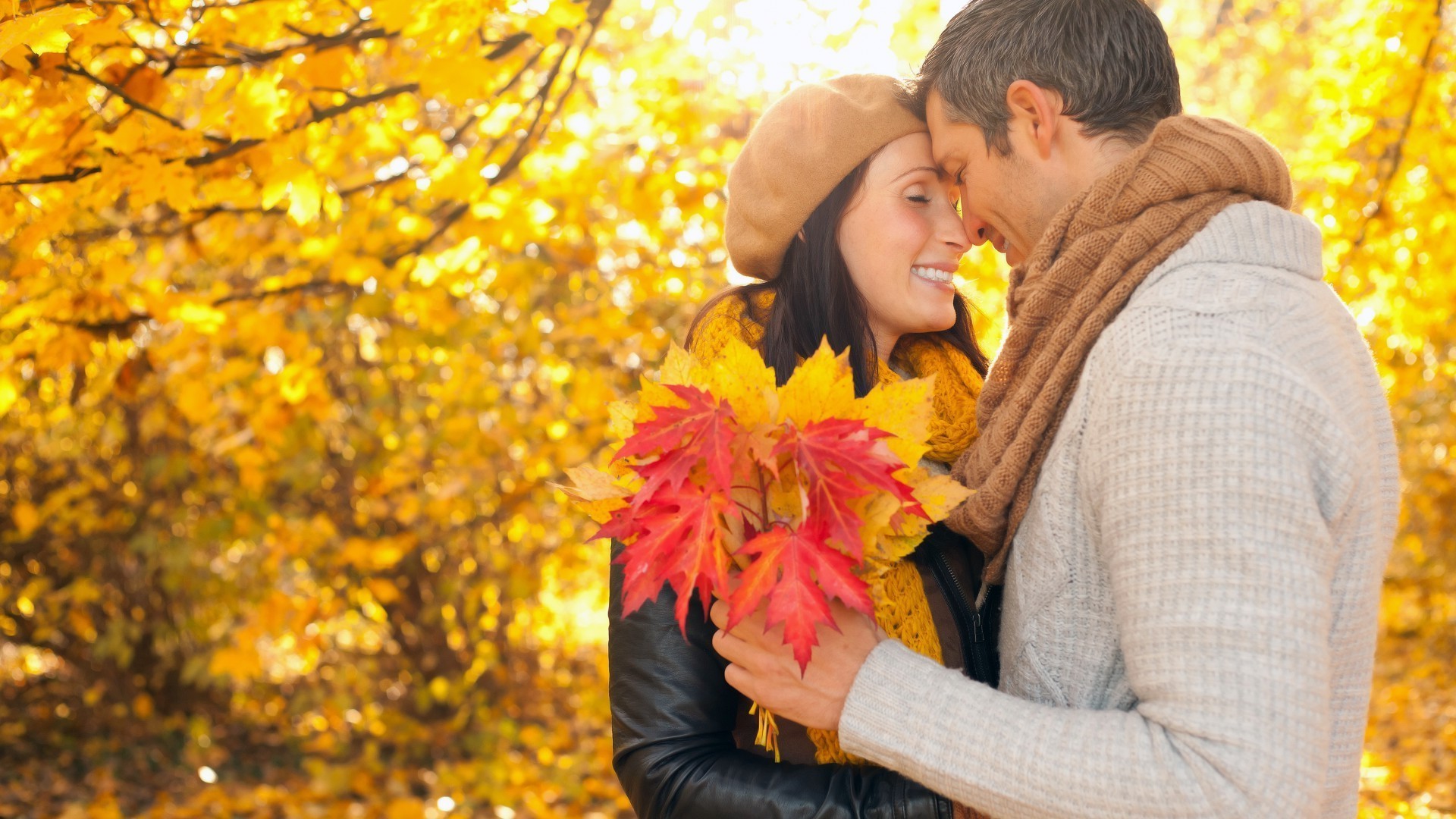 casais outono ao ar livre maple parque natureza amor mulher felicidade folha menina bela dois adulto lazer diversão família pessoa romance sorriso