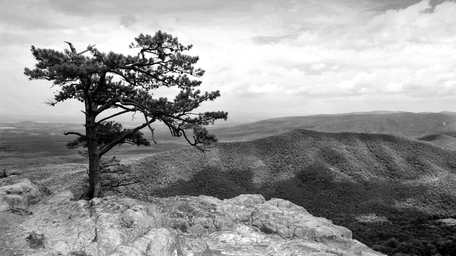 paisaje paisaje árbol naturaleza al aire libre cielo montañas escénico viajes colina