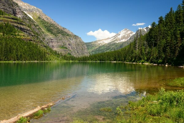 Paysage de lac entouré de montagnes et de forêts