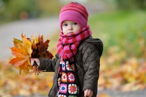 Automne bébé feuilles nature