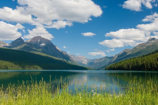 Beautiful nature with lake and sky