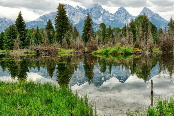 Lake landscape with reflection of high forest and mountains