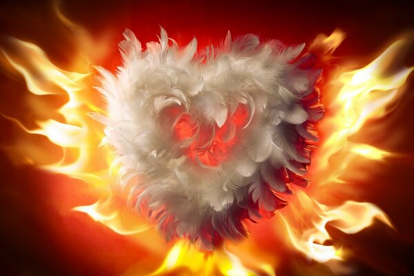 Coeur de plumes sur fond de feu