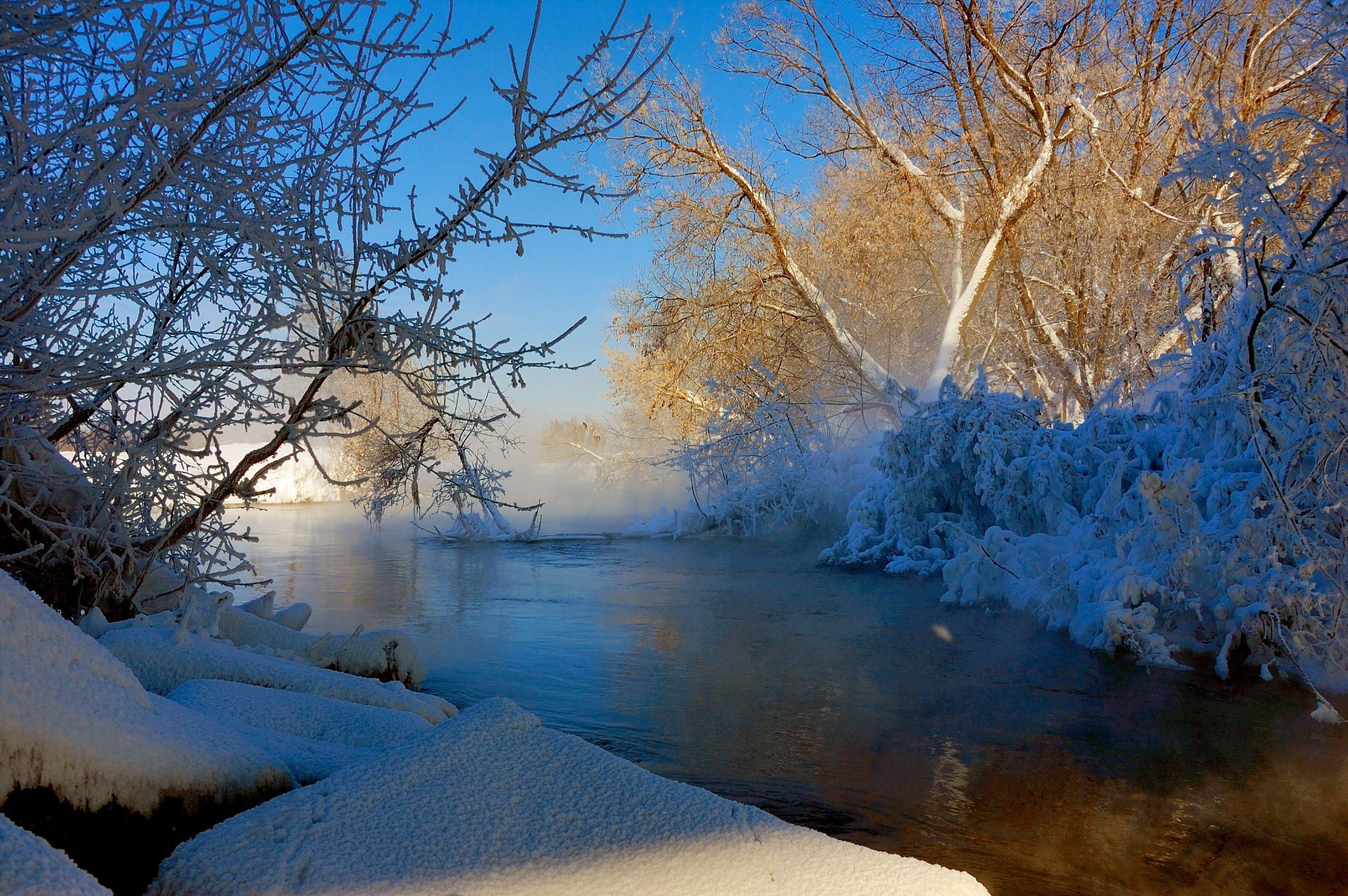 hiver neige froid gel paysage glace congelé bois bois aube nature météo branche saison scénique parc givré brouillard