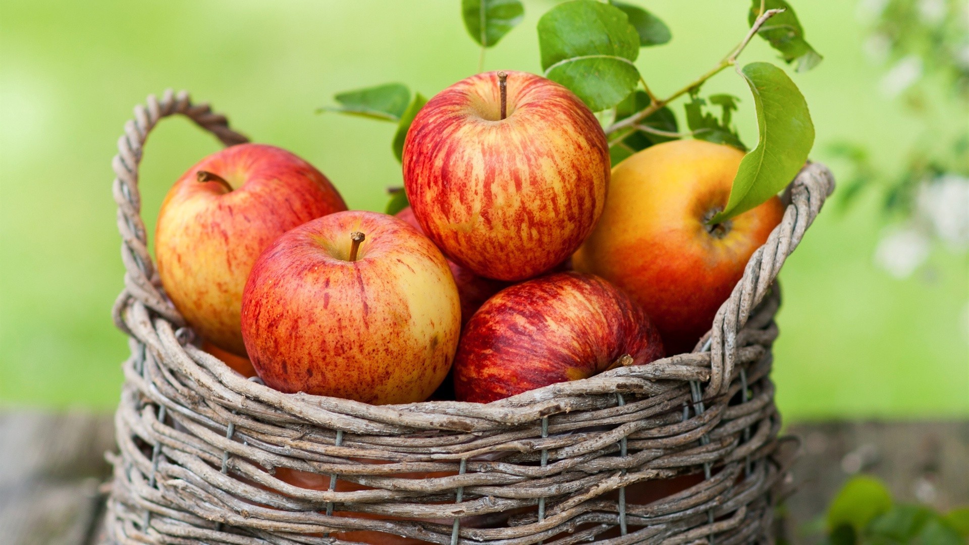 fruits panier alimentaire nature pâturage en osier pomme juteuse automne jardin feuille en bonne santé alimentaire marché agriculture santé été grandir savoureux