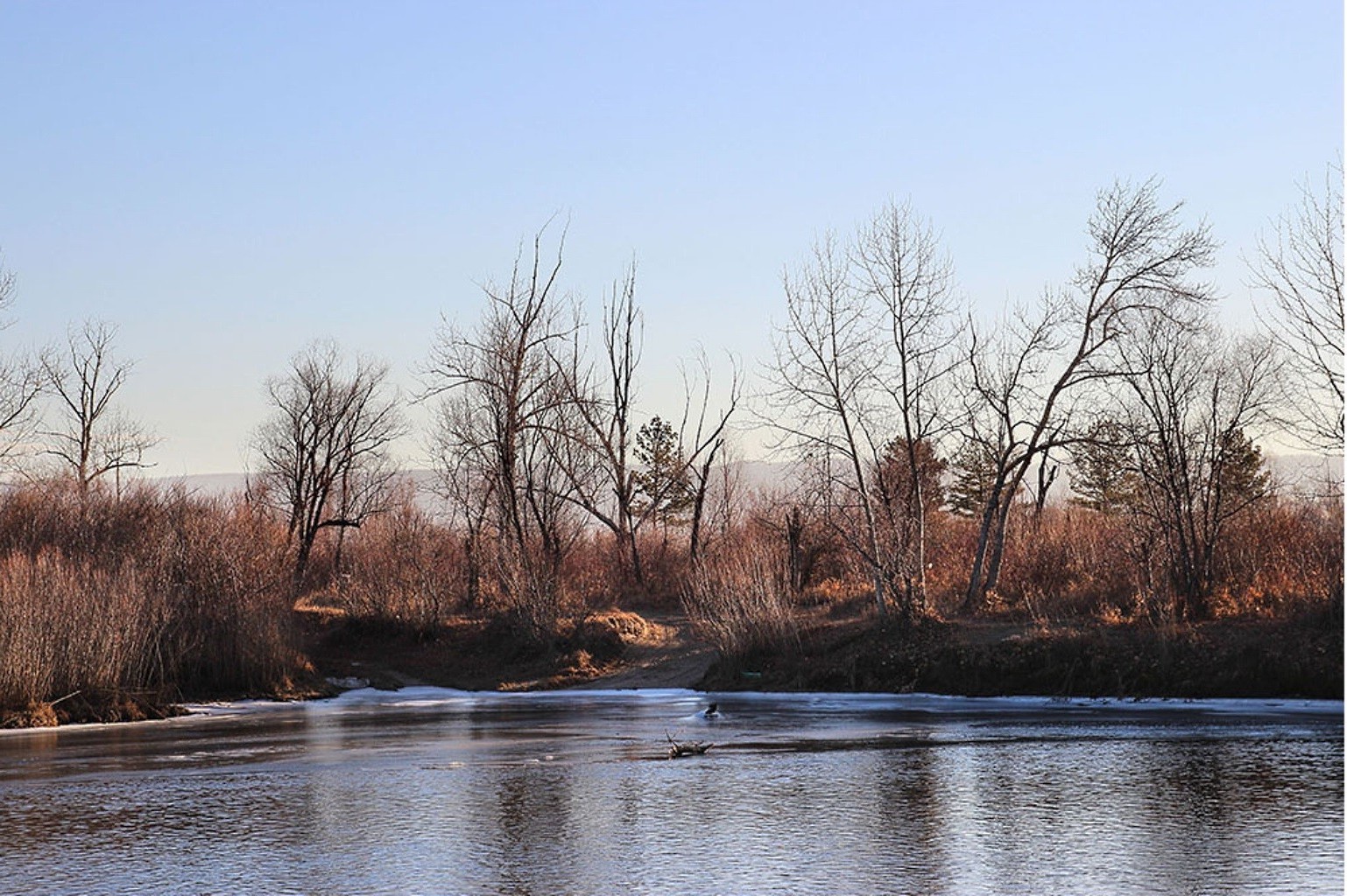 осінь дерево пейзаж води природа осінь зима річка деревини озеро відображення флуд світанок небо на відкритому повітрі світло сезон парк