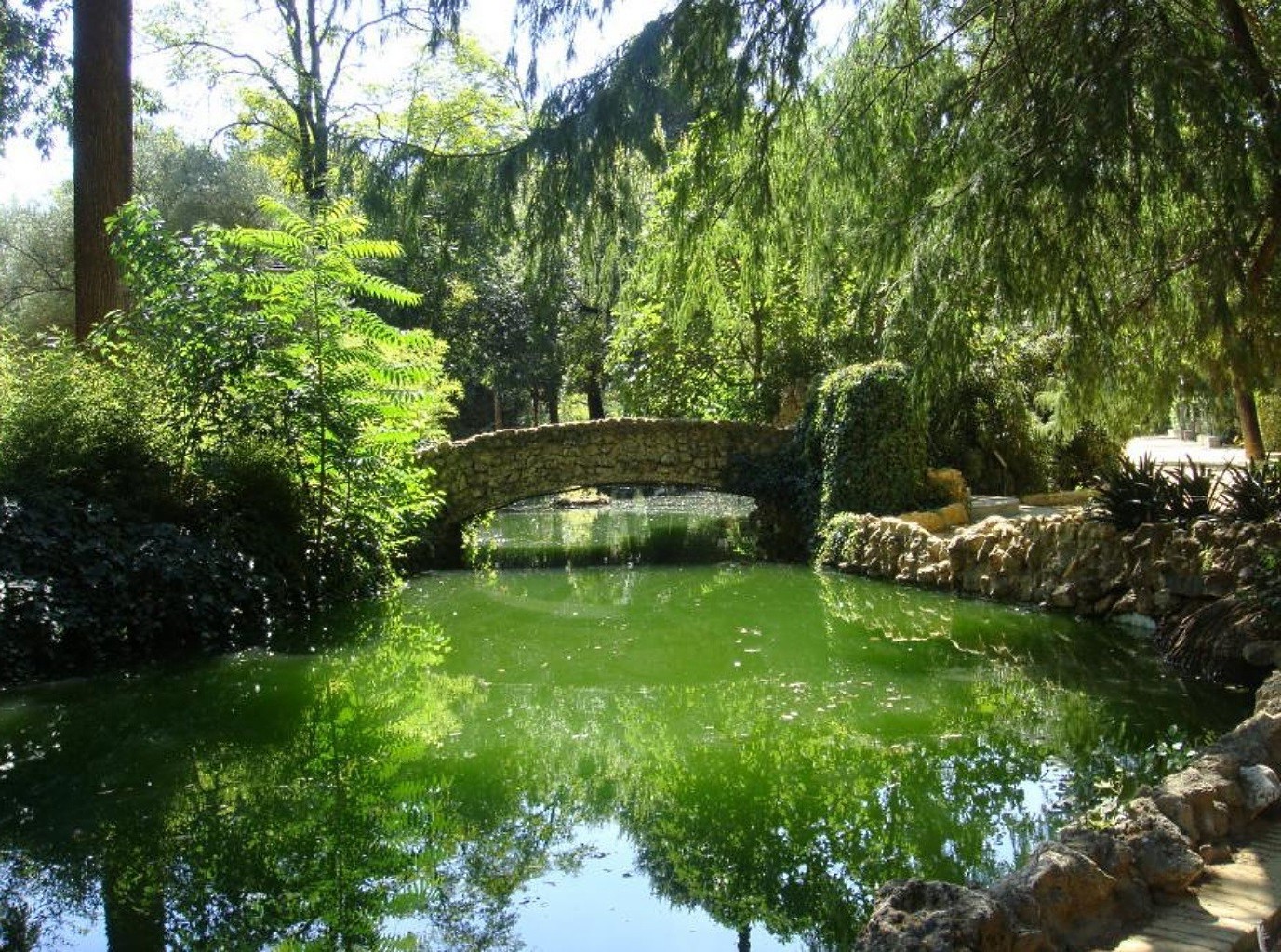 城市和建筑 水 自然 树 公园 河 夏天 水池 风景 室外 庭院 旅行 叶子 木头 反射 湖 环境 植物群 草 风景