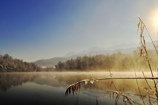 Wintermorgendämmerung am See