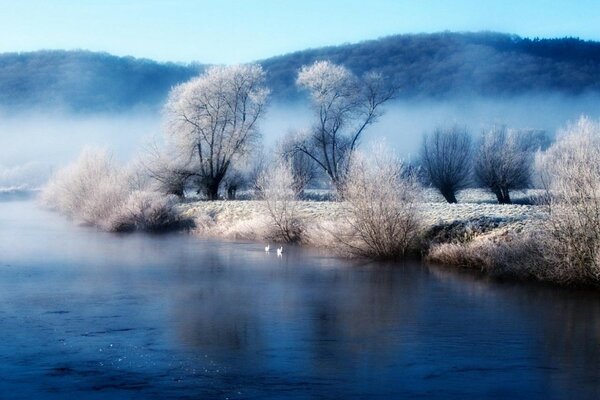 Winter landscape: ponds, streams and trees