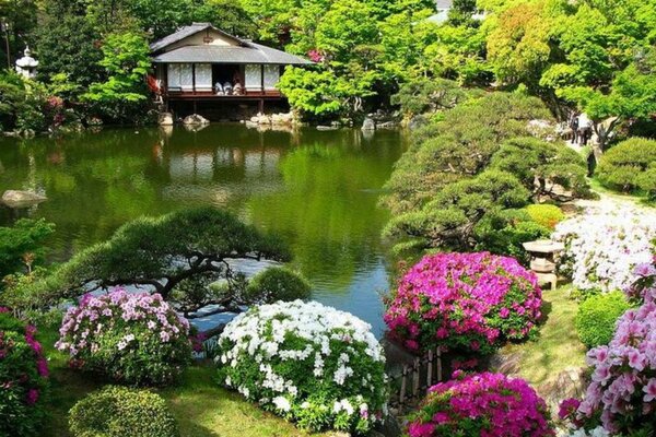 Magnificent flower garden by the pond