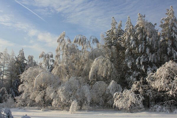 Märchenhafte Winterlandschaft. Viel Schnee