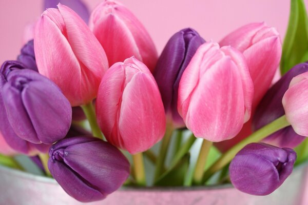 Bouquet of tulips in purple tones