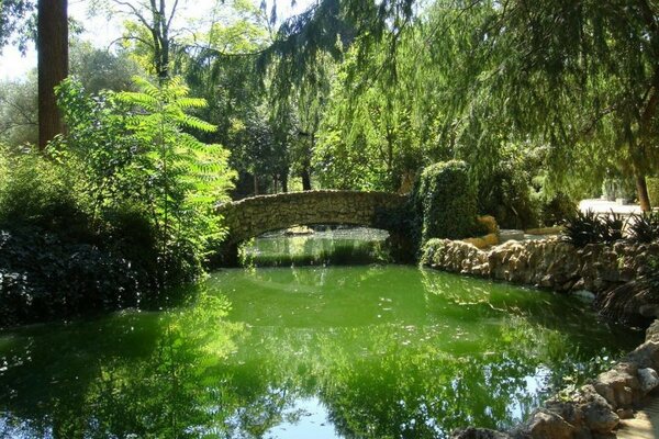 Río puente verdes árboles