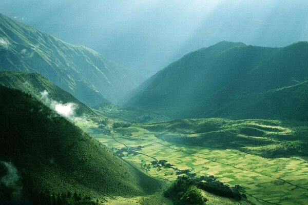 Mountain landscape in fog