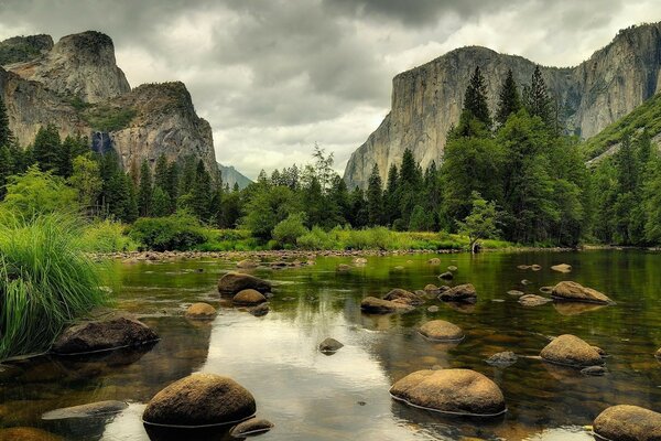 A pond in the mountains and a green forest