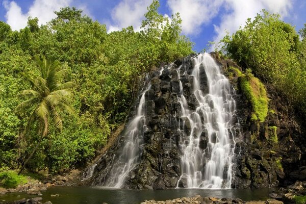 Majestic tropical waterfall in the jungle