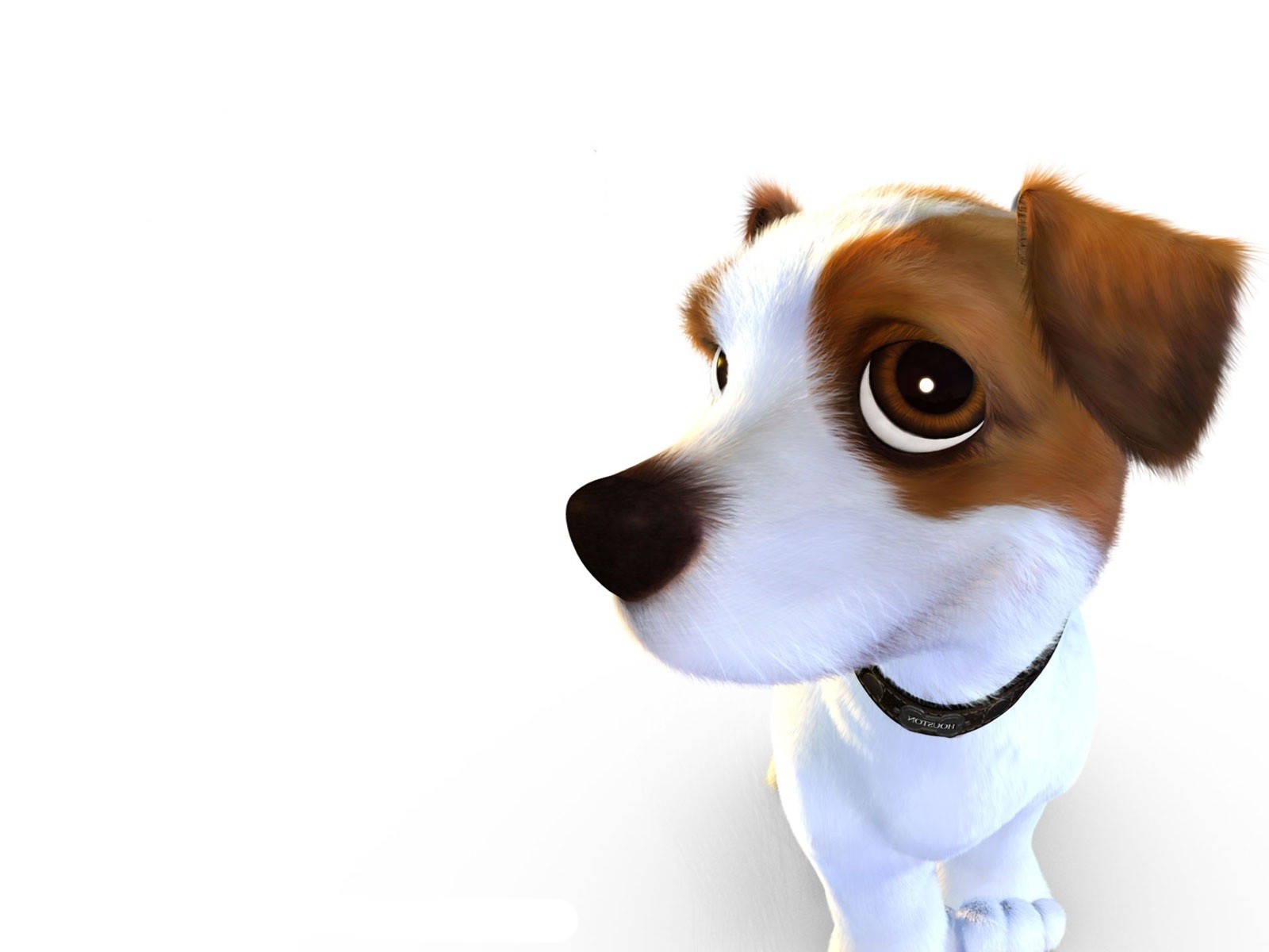 desenhos cão fofa engraçado animal de estimação animal cachorrinho cinegrafista pequeno terrier isolado mamífero visualizando retrato jovem adorável estúdio sentar pele humor