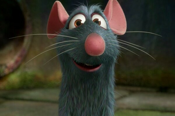 Ratatouille. Rattenkind Remy