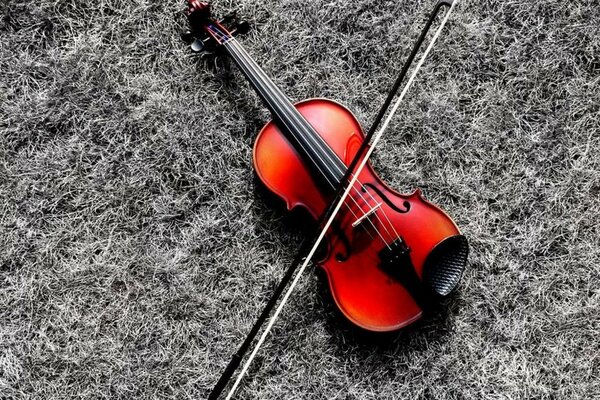 Violon rouge sur fond noir et blanc