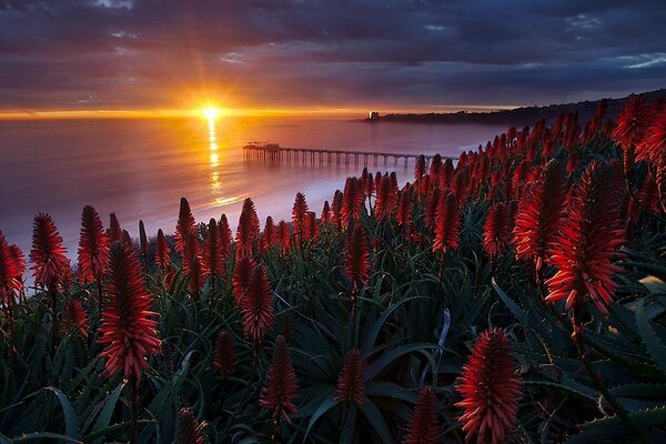 Paisajes nocturnos y diurnos: atardecer y amanecer