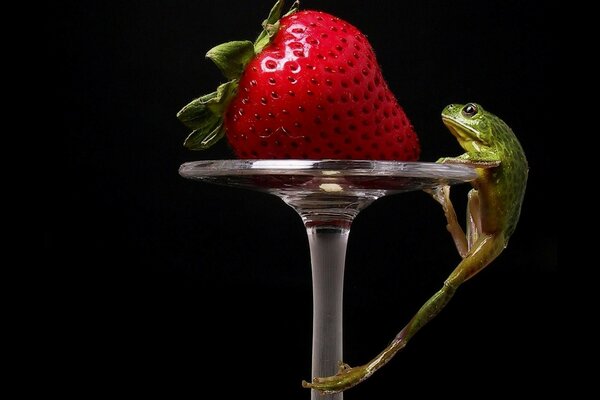 A frog climbing for a sweet strawberry