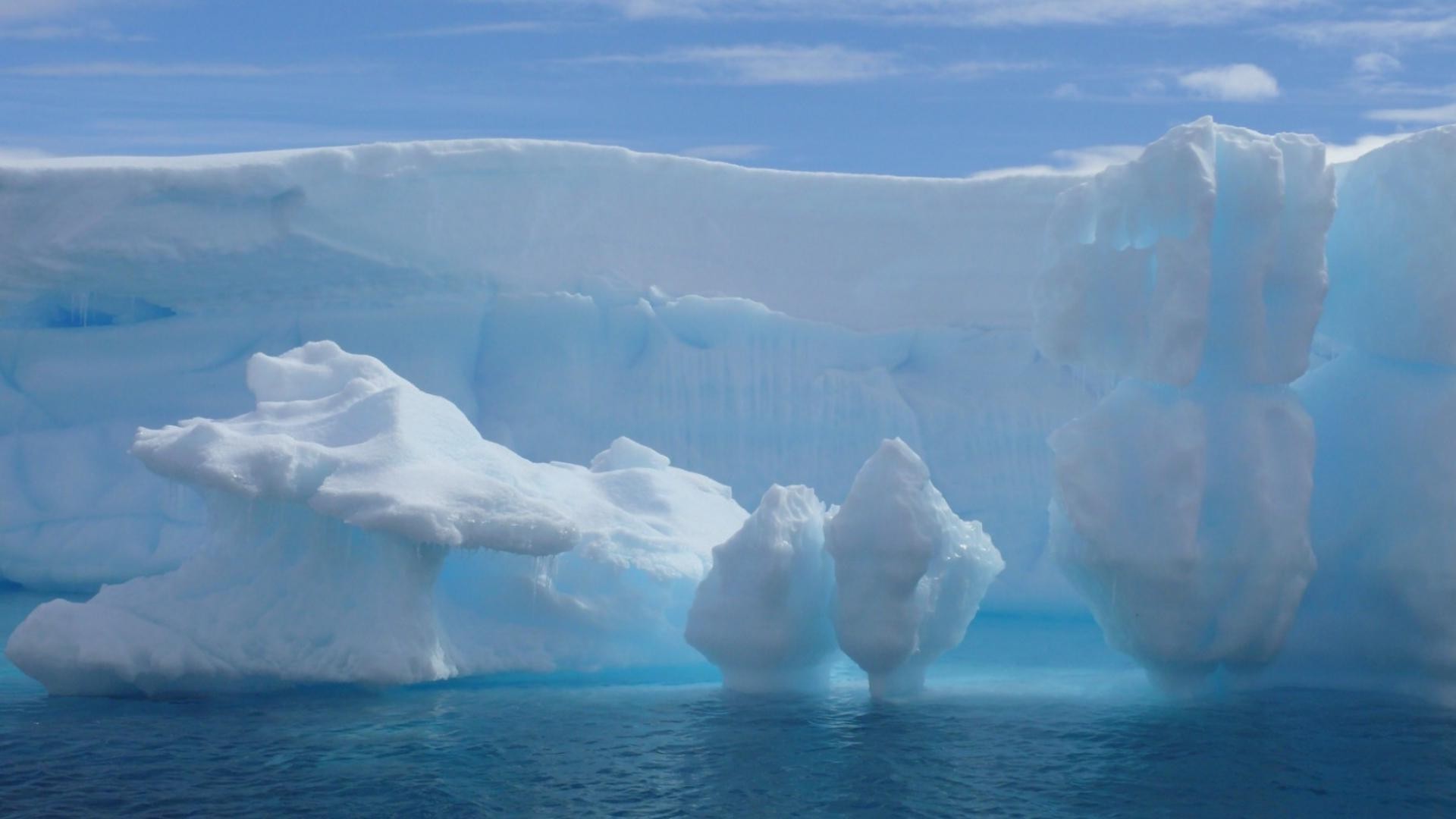 morze i ocean góra lodowa lód topnienie mroźny lodowiec śnieg pływanie woda zimno zima globalne ocieplenie zmiany klimatu grenlandia natura zamrożone na zewnątrz antarktyda mróz cielę