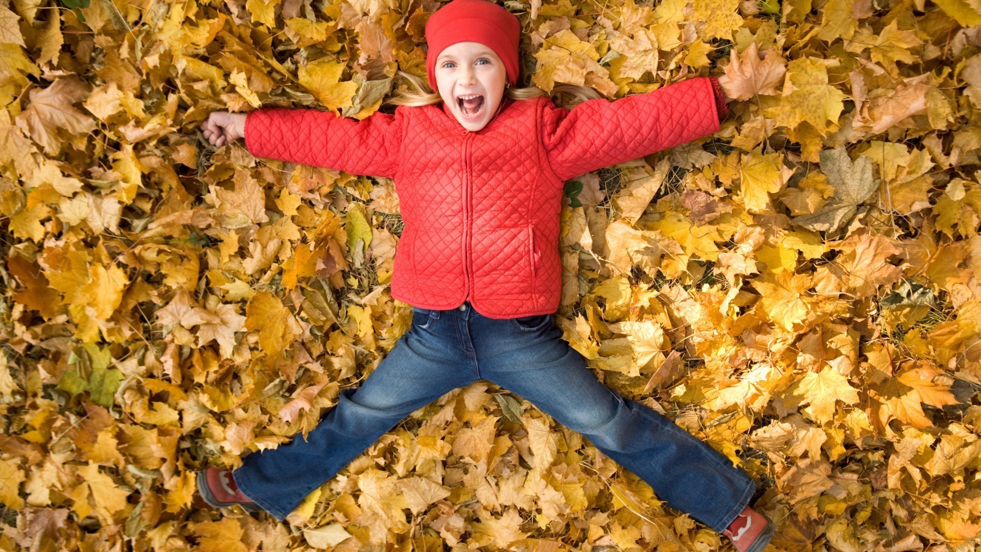 ridere bambini autunno acero natura parco stagione all aperto oro foglia divertimento sano tempo libero felicità giovane al di fuori ringraziamento ragazza