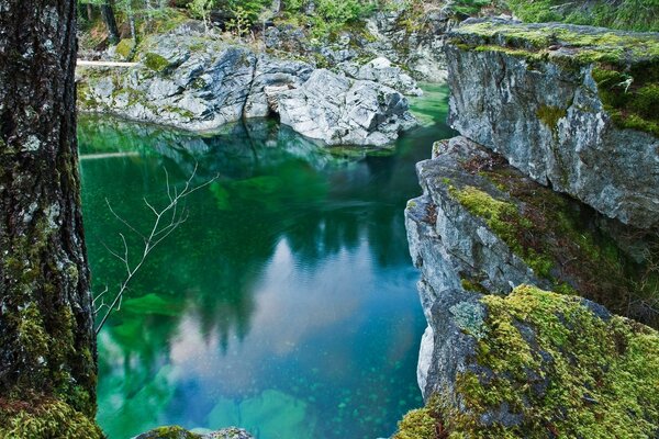 Les mystères de la nature