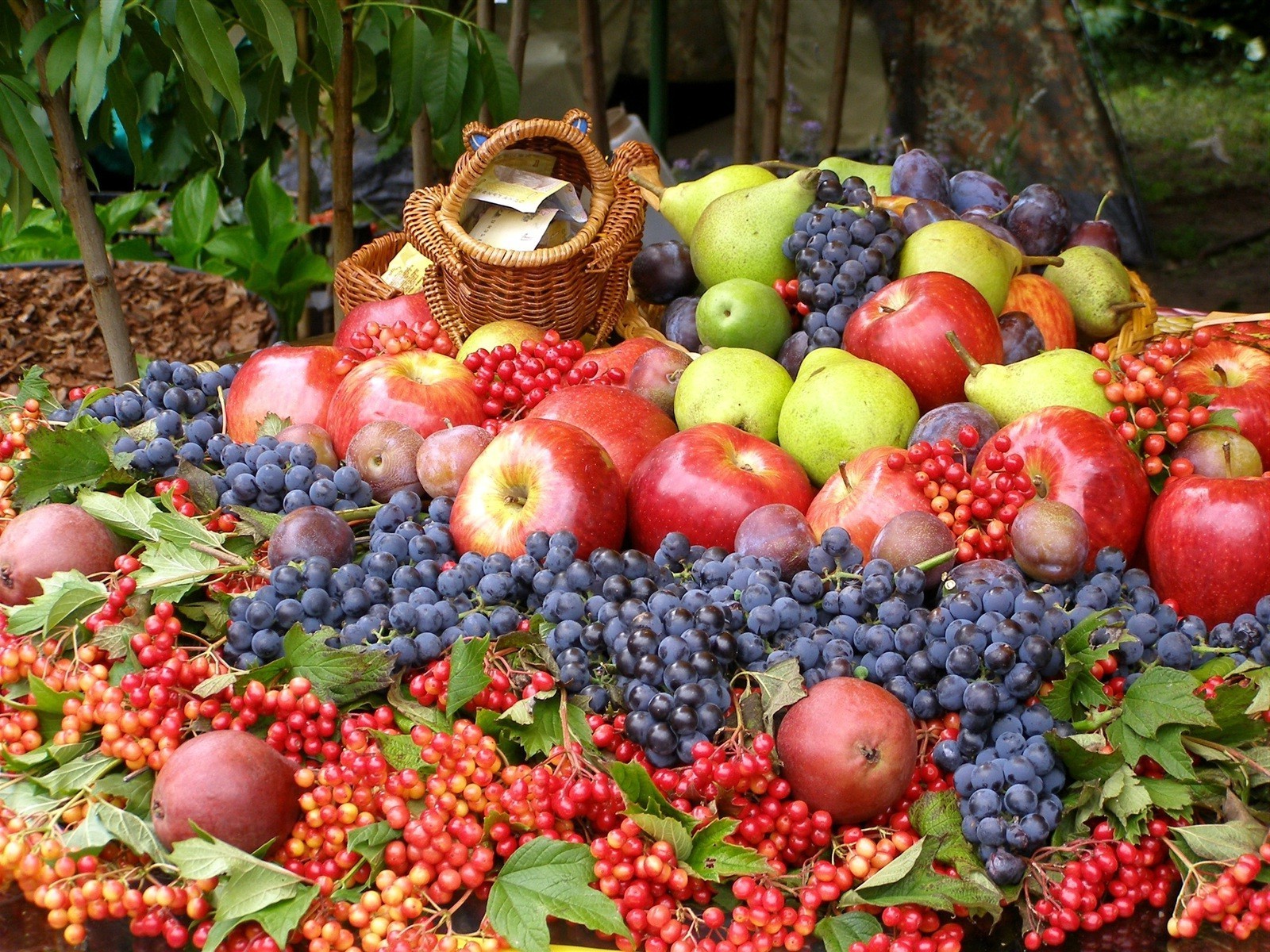 fruta crecer comida mercado agricultura pasto jugoso abundancia baya manzana saludable pastelería otoño hoja jardín cesta naturaleza