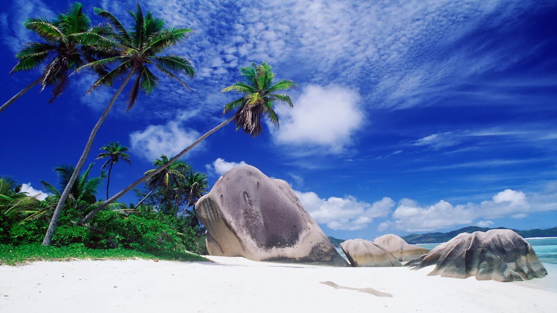 palmen und tropen meer strand ozean reisen insel wasser urlaub sand himmel tropisch resort meer baum idylle landschaft natur landschaftlich landschaftlich paradies